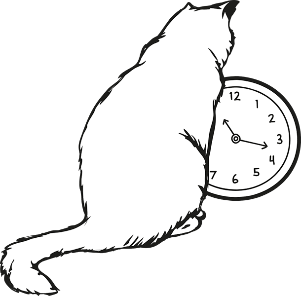 Intestacy - cat looking at a clock.