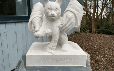 Fundraising Efforts – Small Animal Clinic Aberystwyth Veterinary School